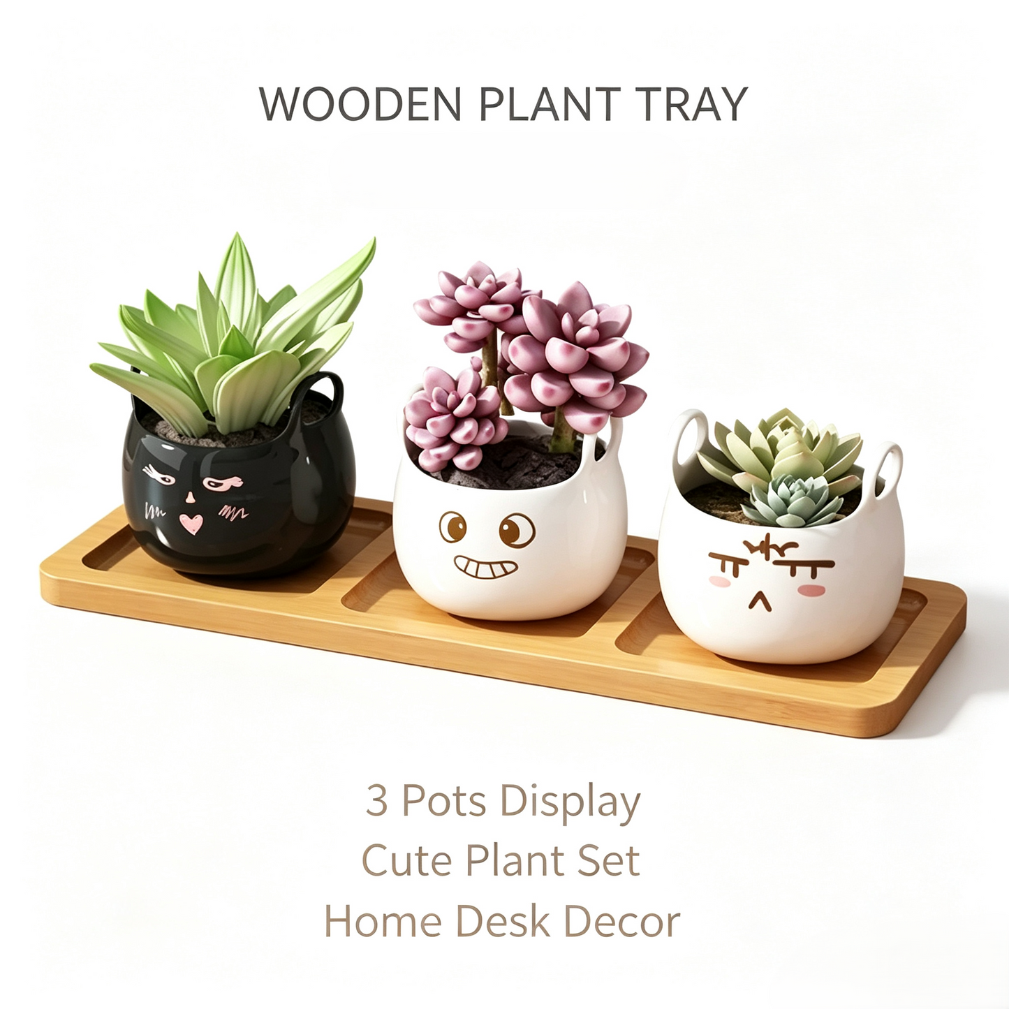 Desktop Wooden Succulent Plant Stand, Small Tabletop Flower Pot Display Rack